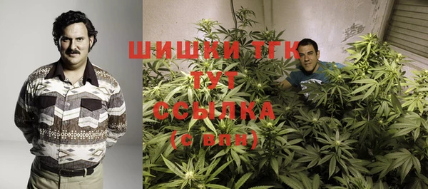 амфетамин Ельня
