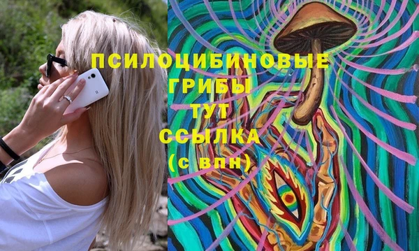 амфетамин Ельня