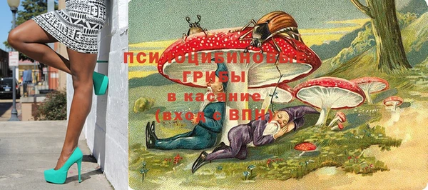 2c-b Елизово